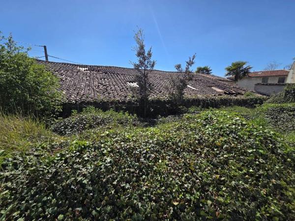 Grange à vendre |                                       Saintes |                                        1 pièce  |  224 m²