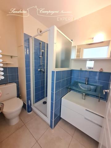 L'Isle-sur-la-Sorgue (84800) PARTAGE DES EAUX T3/4 vue Sorgue, avec extérieur et annexes