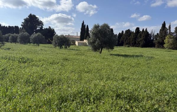 Vente Maison Argeliers   