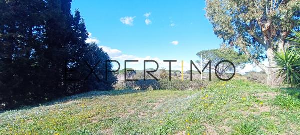 Puget-sur-Argens (83480) Terrain à bâtir 932m2 environ à Puget-surArgens