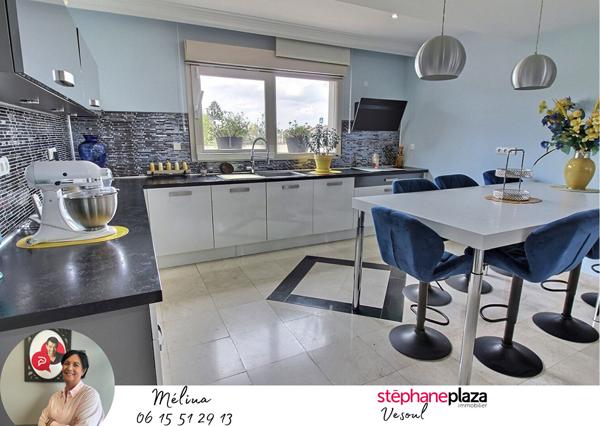 Maison Noidans Les Vesoul 6 pièce(s) 230 m2