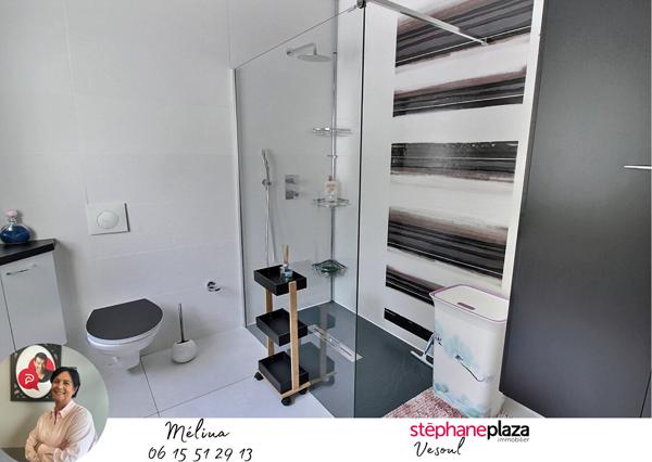 Maison Noidans Les Vesoul 6 pièce(s) 230 m2