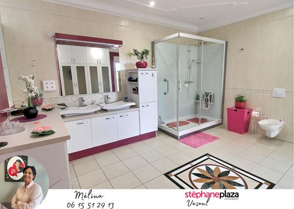 Maison Noidans Les Vesoul 6 pièce(s) 230 m2