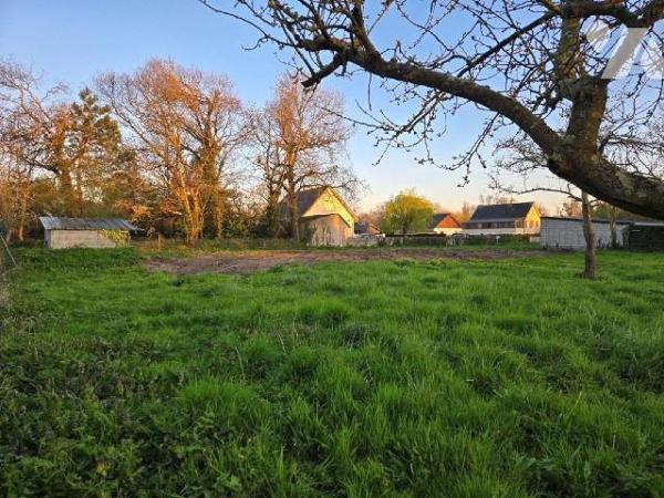 Gouville sur Mer, terrain constructible d'environ 2900 m².
Possibilité de construire 1 ou 2 mai...