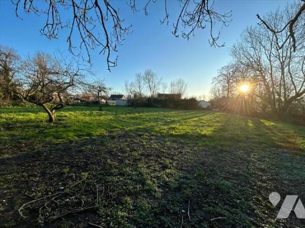 Gouville sur Mer, terrain constructible d'environ 2900 m².
Possibilité de construire 1 ou 2 mai...