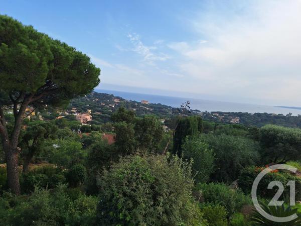 Terrain à vendre  1642 m2 ROQUEBRUNE SUR ARGENS - 83