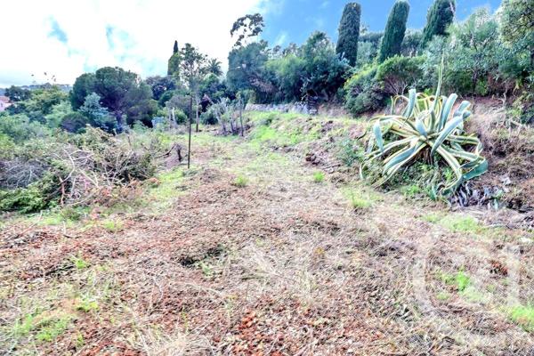 Terrain à vendre  1642 m2 ROQUEBRUNE SUR ARGENS - 83