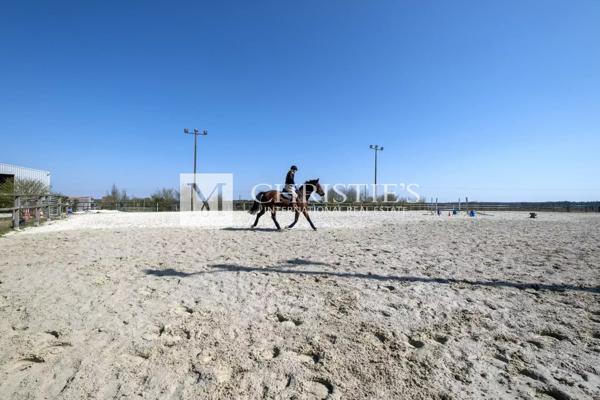 Vente domaine équestre près de Poitiers