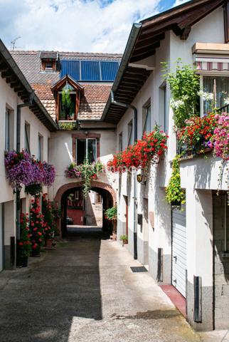 Gîte et Maison d'Hôtes 428m2 Ammerschwihr