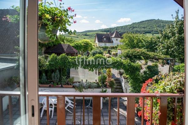 Gîte et Maison d'Hôtes 428m2 Ammerschwihr