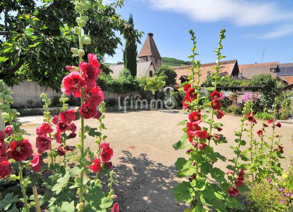 Gîte et Maison d'Hôtes 428m2 Ammerschwihr