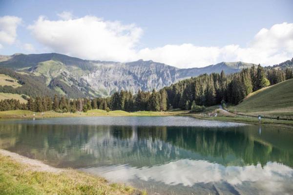INVESTISSEMENT LOCATIF – Megève – Résidence de tourisme Mamie Megève - 4.14% de rentabilité