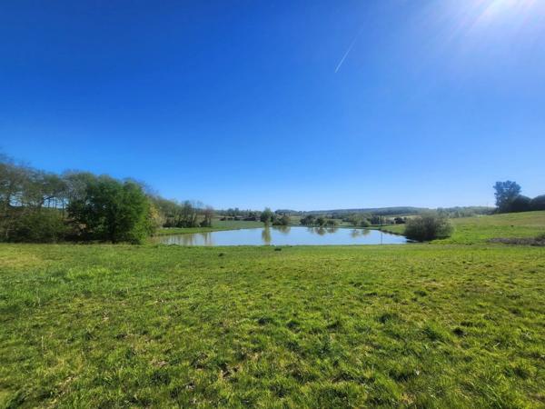 Terrain  avec étang de pêche en campagne -  3.54 ha- à vendre - VILLENEUVE SUR LOT (47)