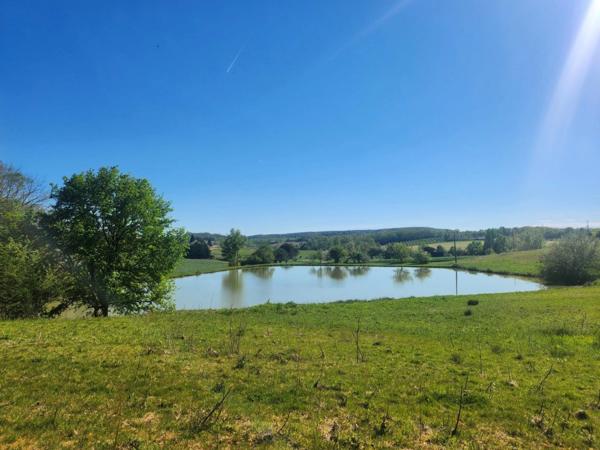 Terrain  avec étang de pêche en campagne -  3.54 ha- à vendre - VILLENEUVE SUR LOT (47)