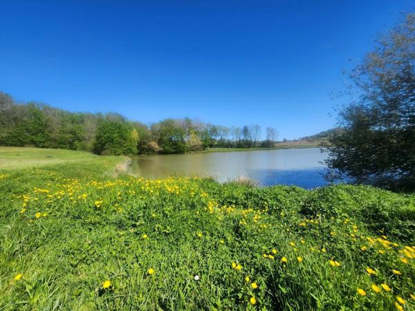 Terrain  avec étang de pêche en campagne -  3.54 ha- à vendre - VILLENEUVE SUR LOT (47)