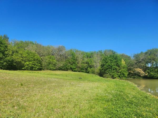 Terrain  avec étang de pêche en campagne -  3.54 ha- à vendre - VILLENEUVE SUR LOT (47)