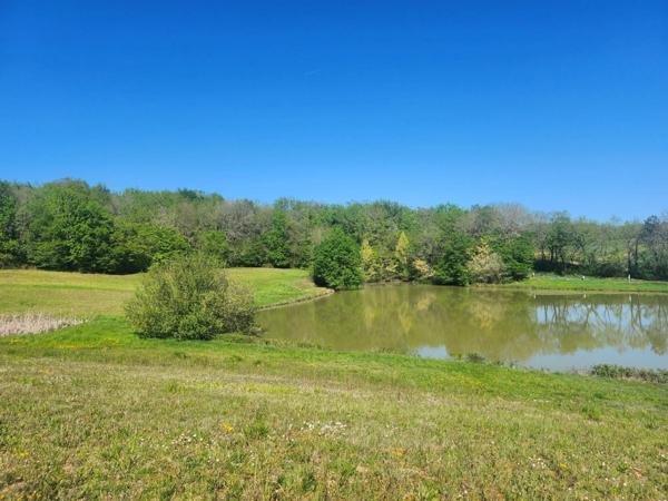 Terrain  avec étang de pêche en campagne -  3.54 ha- à vendre - VILLENEUVE SUR LOT (47)