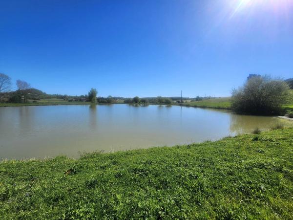 Terrain  avec étang de pêche en campagne -  3.54 ha- à vendre - VILLENEUVE SUR LOT (47)