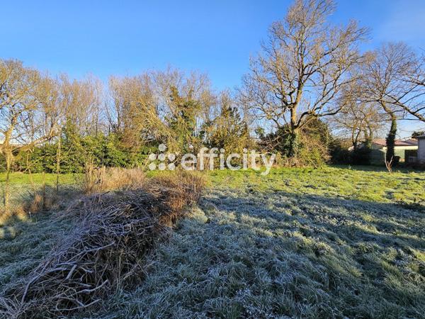 Maison 5 pièces - 130 m²