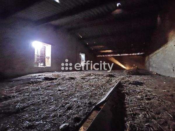 Maison 5 pièces - 130 m²