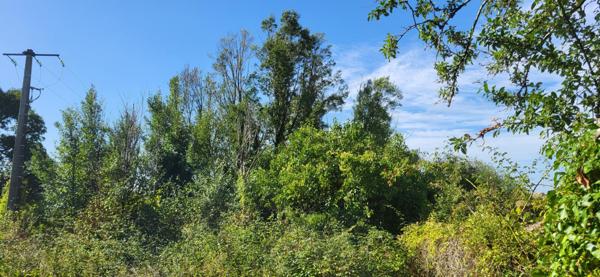 Beau terrain, bien placé