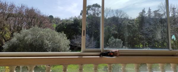 83230 BORMES LES MIMOSAS  MAISON 358M2 - TERRAIN 2163M2