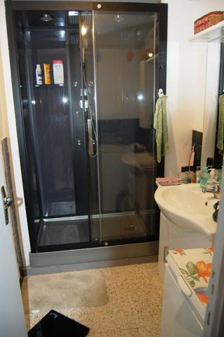 Alès (30100) Maison 240 m² avec 3 appartements dont un d'habitation et deux loués sur 1100m² de terrain