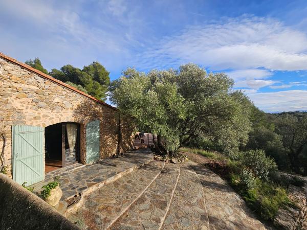 Vente Maison de luxe Perpignan 7 Pièces 240 m²