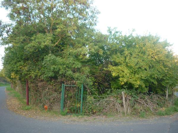 Terrain à Batir à vendre à Champeix dans le Puy-de-Dôme (63320), ref : 13385/172