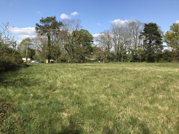 Terrain à vendre |  Écuras |  3180 m²