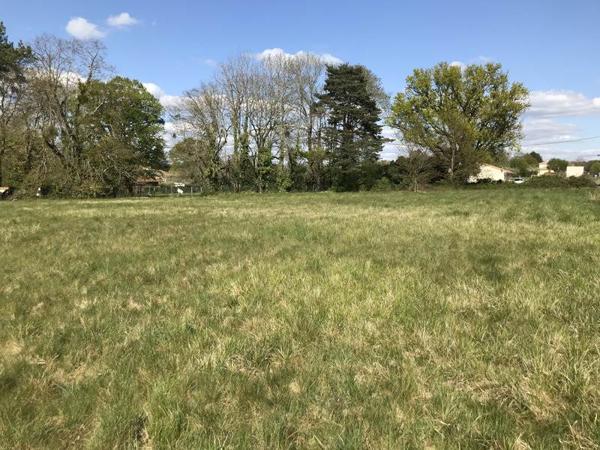 Terrain à vendre |  Écuras |  3180 m²