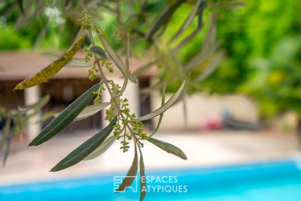 Villa avec piscine et Pool house