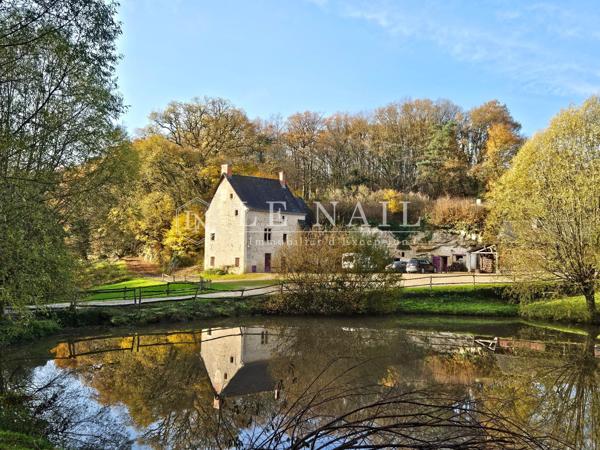 Exceptionnel domaine de chasse clos de 504 hectares en Touraine