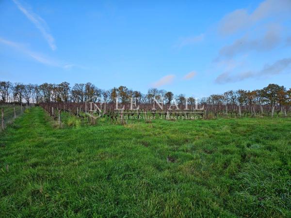 Exceptionnel domaine de chasse clos de 504 hectares en Touraine