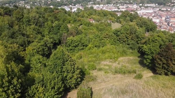 Terrain rare 8199 m², potentiel constructible