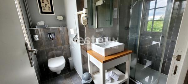 Hôtel-Restaurant 3 étoiles . Secteur Sologne / Châteaux de la Loire