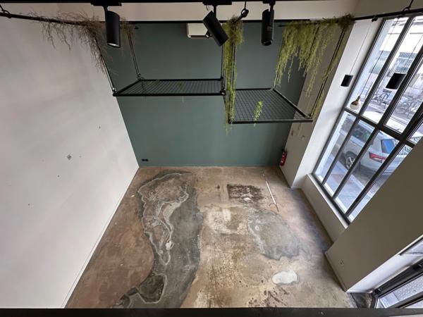 Local/bureau à louer LYON 4EME (69) local commercial type show room ou bureaux de 100m2 environ dont 70 en RDC