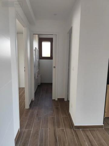 Location - Appartement Amilly 45200 3 pièces 59 m 2