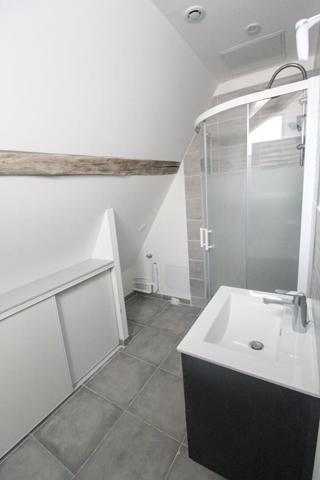 A VENDRE T2 bis en mezzanine de 67 m² au sol (47,77m² carrez) hyper centre de Dijon