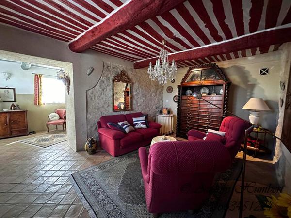 EXCLU, proche FORCALQUIER, Belle MAISON DE VILLAGE de 126 m²  avec terrasses, jardin et cour