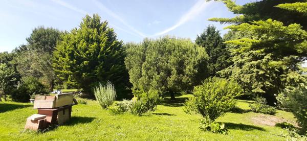 Maison en Pierre -3 chambres -4730 m² de terrain 47250 - LOT ET GARONNE (47) - NOUVELLE AQUITAINE