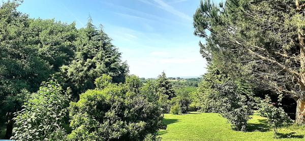 Maison en Pierre -3 chambres -4730 m² de terrain 47250 - LOT ET GARONNE (47) - NOUVELLE AQUITAINE