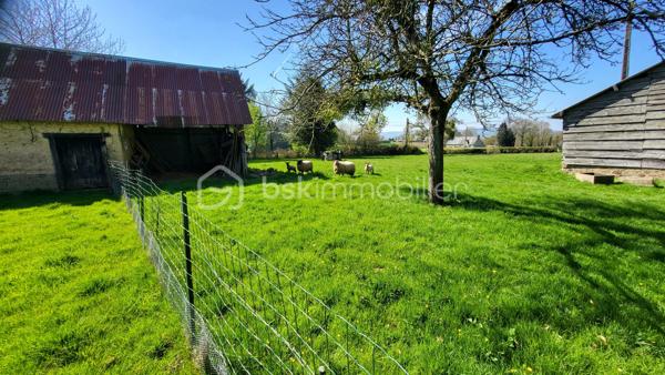 Ensemble immobilier de qualité – Terrain clos de 4 973 m²
Situé dans un cadre paisible, à proximité immédiate de Saint-Sever-Calvados et de l’A84, cet ensemble immobilier offre une belle opportunité pour un projet familial, touristique ou d’investissement locatif.

La maison principale de 123 m², comprend une entrée avec placard, une agréable pièce de vie d’environ 33 m² avec cheminée et poêle à granulés, une cuisine ouverte aménagée et équipée, ainsi qu’une chambre avec salle d’eau/WC privative accessible PMR.
À l’étage : deux chambres, un bureau et une seconde salle d’eau/WC.
Un vaste grenier aménageable (possibilité de créer 2/3 chambres), une pièce indépendante de 28 m² avec accès privatif (atelier, studio, chambre d’hôtes…), un garage attenant, un appentis fermé et plusieurs dépendances complètent l’ensemble.

La seconde maison de 108 m², vendue louée, constitue un véritable atout avec un revenu locatif immédiat. Elle dispose d’un séjour avec cheminée, cuisine, buanderie, 3 chambres, salle de bains, WC et grenier. Locataire fiable en place depuis 2010.

Le tout sur un terrain clos de 4 973 m2. 

Nombreux travaux récents : toiture ardoise, joints extérieurs, huisseries, poêle à granulés, cuisine, salle d’eau… Fibre raccordée, compteurs et assainissement indépendants pour chaque logement.

Situation idéale :
- Commerces et services à 1,5 km
- 8 min de l’A84 (axe Caen/Rennes)
- 13 km de Vire
- Plages de Granville et de la baie du Mont-Saint-Michel à 50 mns.