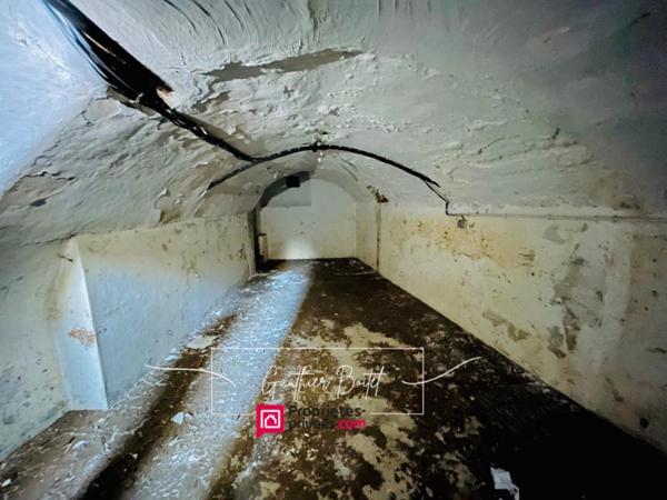 Maison/Immeuble de rapport La Ferté Gaucher 6 pièce(s) 120 m2