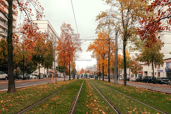 Appartement 3 pièces - 52 m²