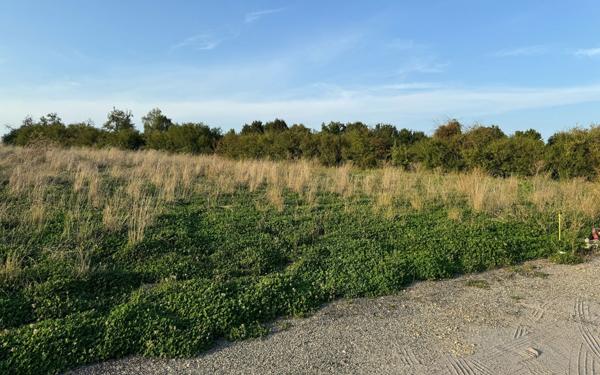 Terrain à vendre    Seingbouse