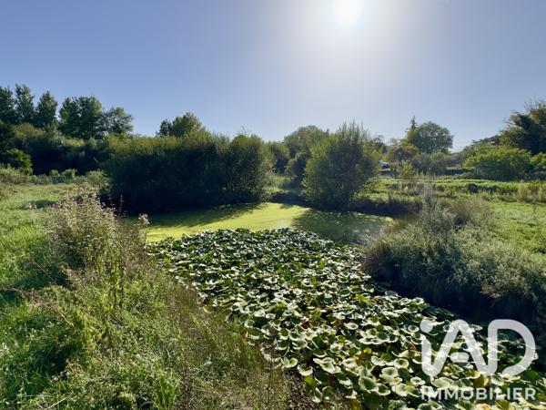 Terrain à vendre 2 564 m² Bellevigne