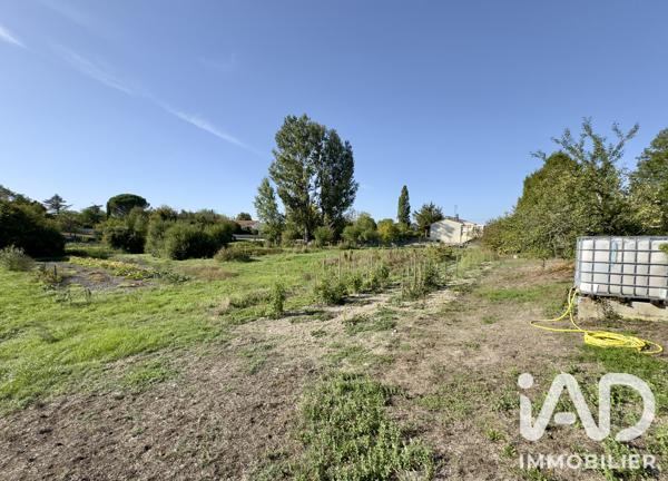 Terrain à vendre 2 564 m² Bellevigne
