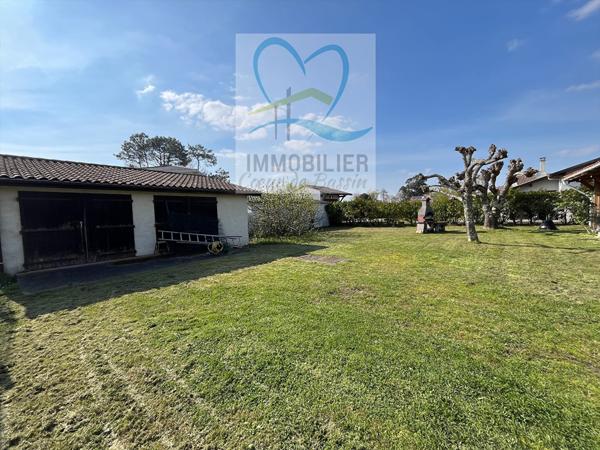 Maison 5 pièces à vendre Andernos les Bains - 33510 / Réf: 919