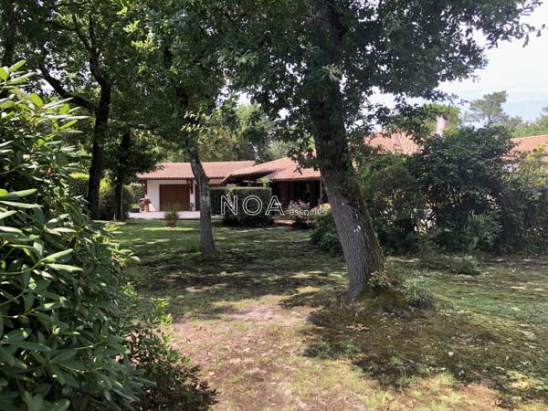 Propriété familiale à fort potentiel